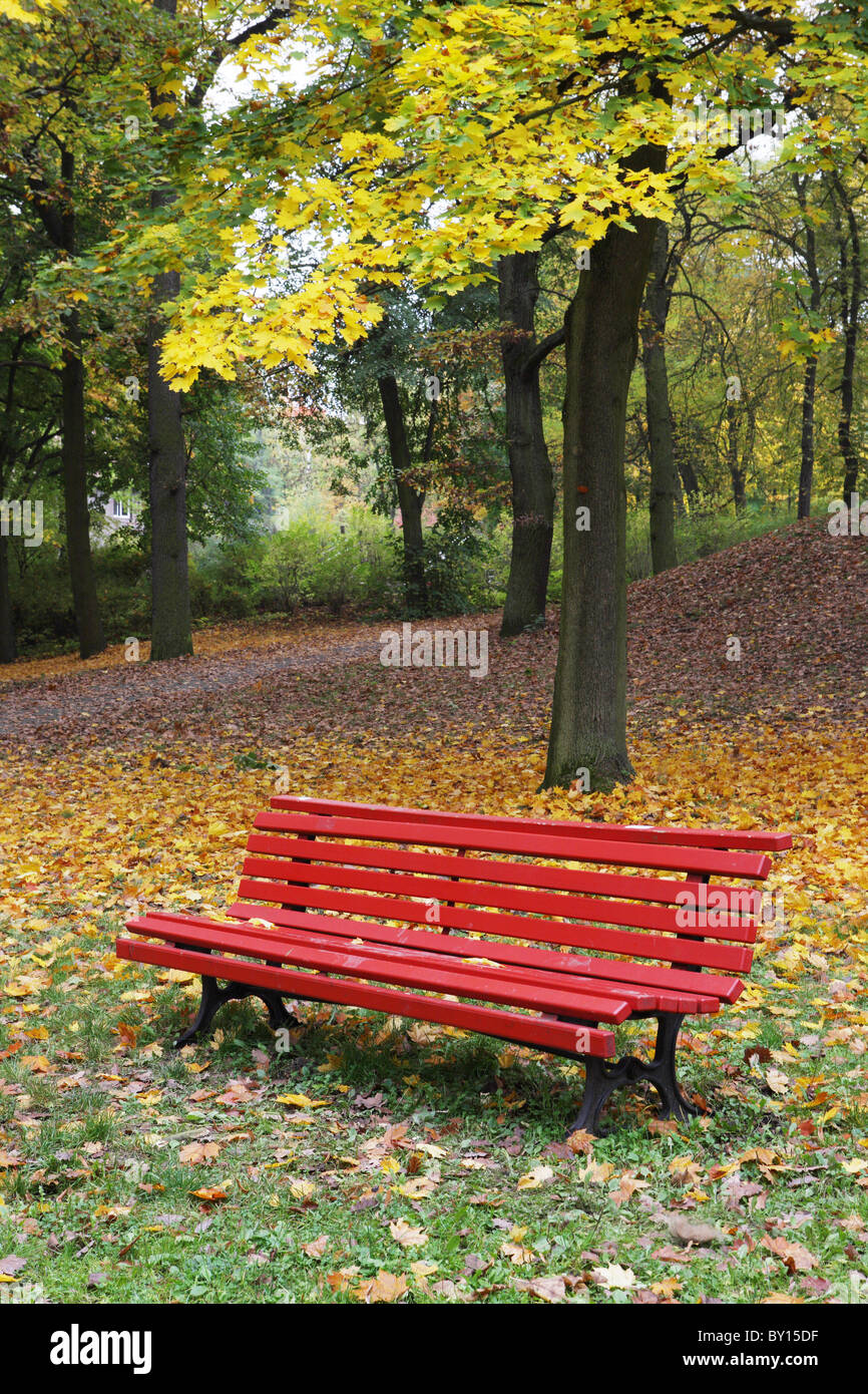 DEU, Deutschland, 20101007,-Wald mit Park bench Gerhard Leber Stockfoto
