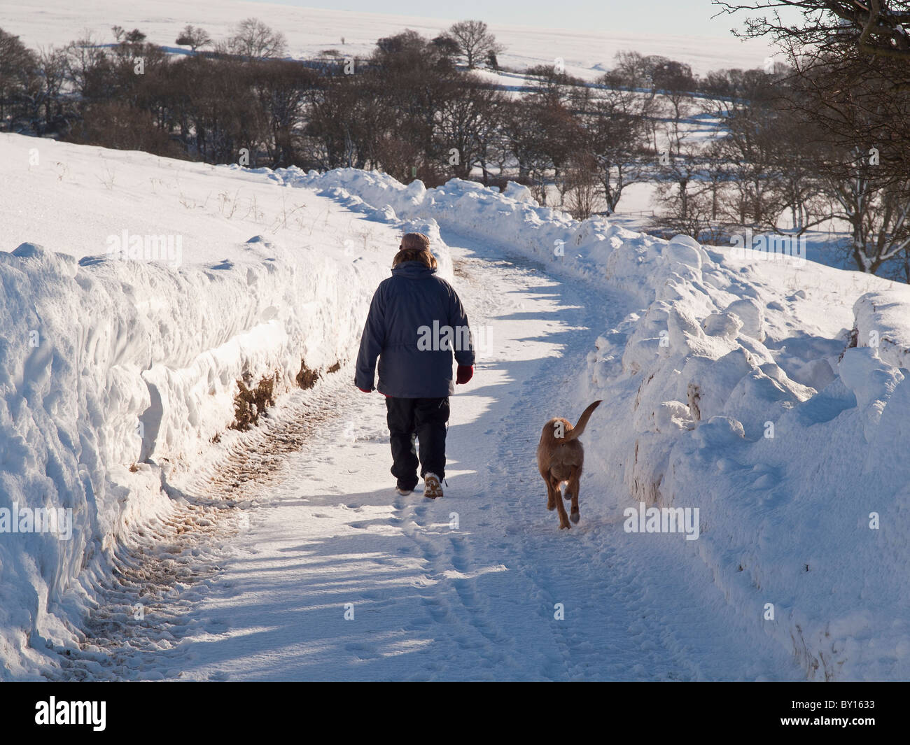 Zu Fuß Hund hinunter Schnee gebunden Gasse in der Nähe von Goathland auf Yorkshire Moors Stockfoto