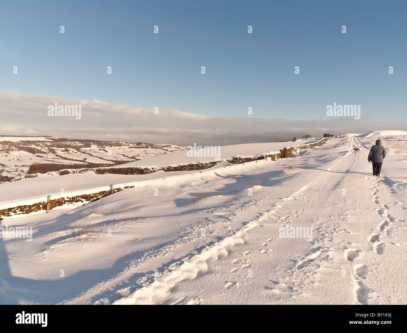 Einsamer Wanderer mit Hund über Eskdale auf der North Yorkshire Moors in der Nähe von Goathland. Stockfoto