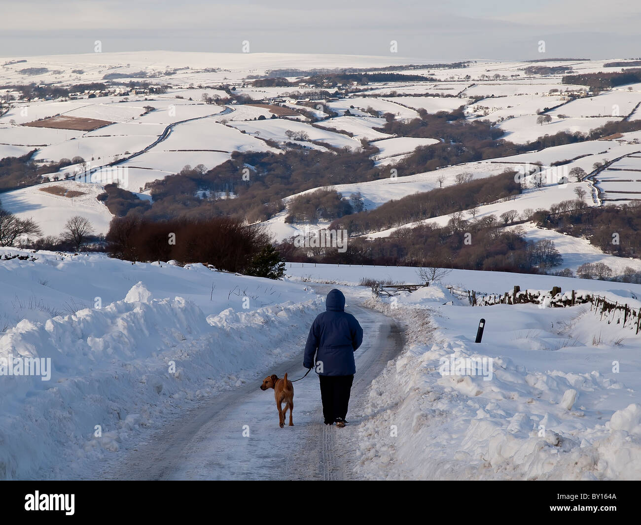 Zu Fuß Hund hinunter Schnee gebunden Gasse in der Nähe von Goathland auf Yorkshire Moors Stockfoto