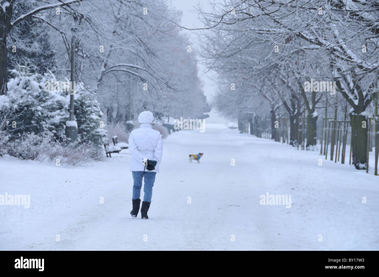 Frau, die ihren Hund in eine winterliche Parken Stockfoto