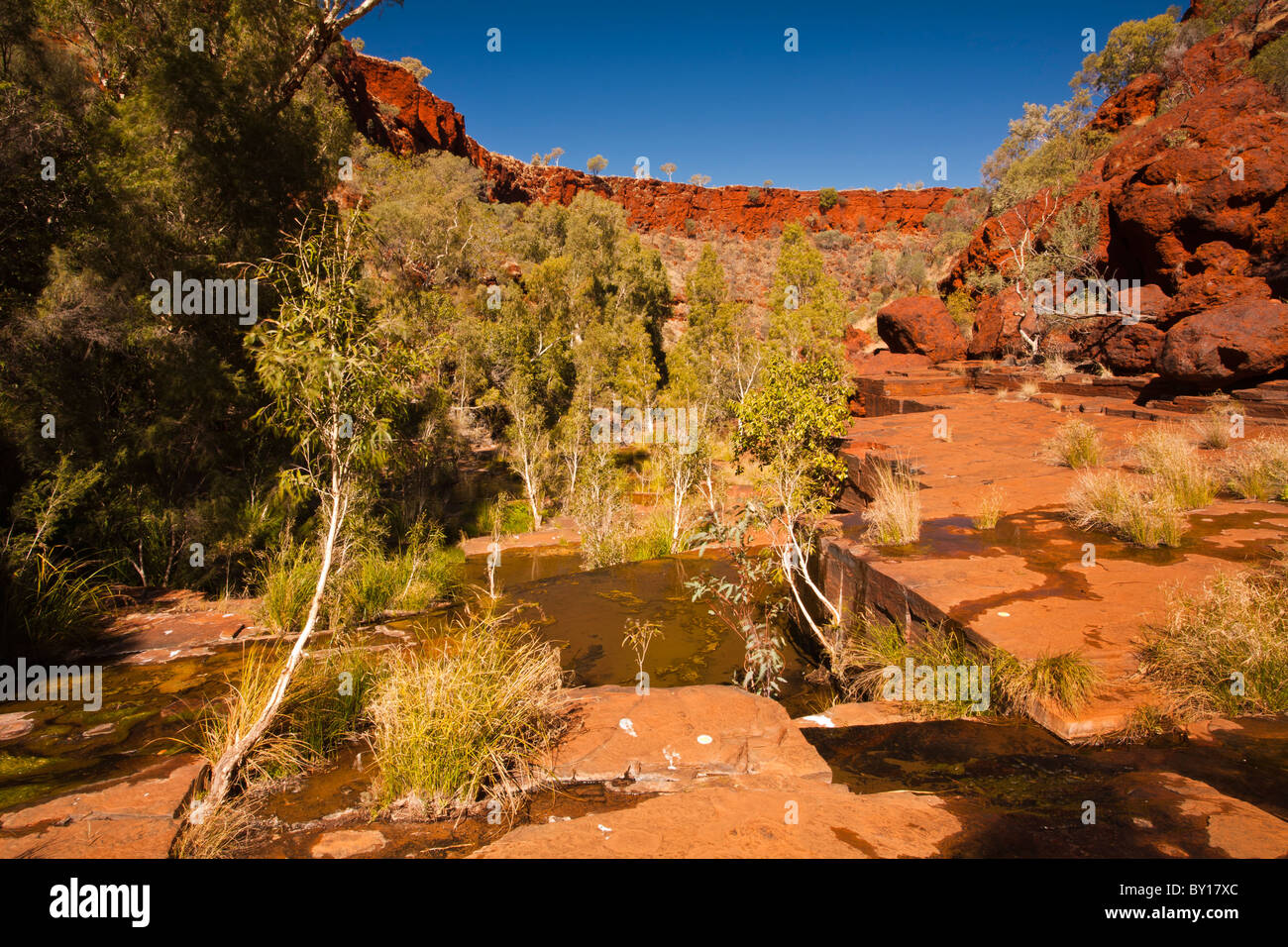 Dales Gorge, Karijini-Nationalpark, Pilbara, Western Australia, Australia Stockfoto