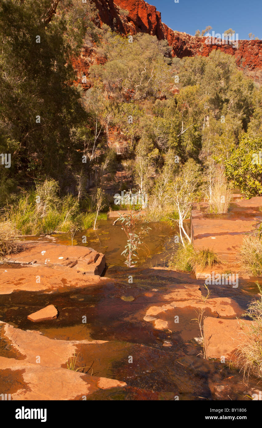 Dales Gorge, Karijini-Nationalpark, Pilbara, Western Australia, Australia Stockfoto