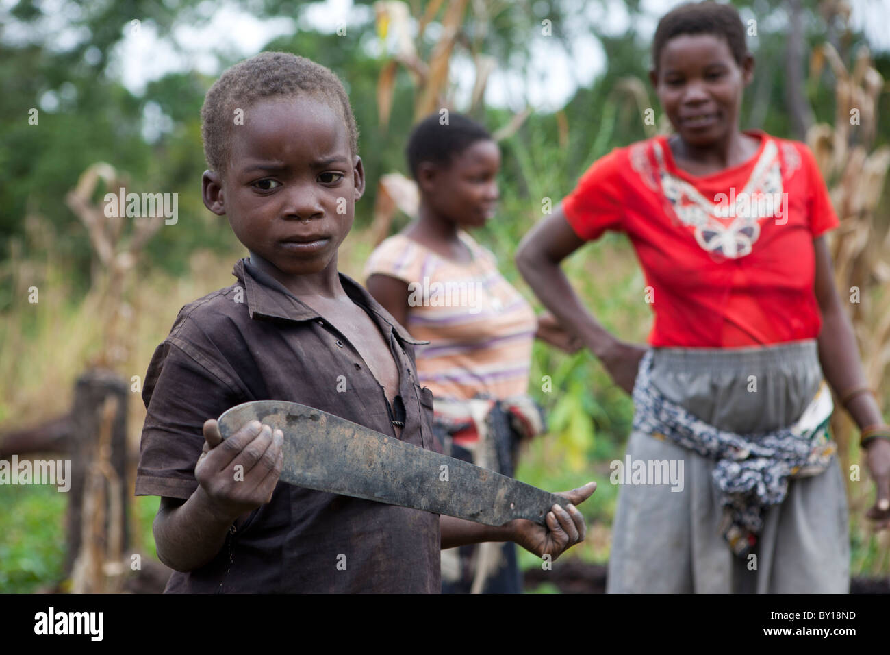 MECATI Wald, Mosambik, Mai 2010: Expandierende Landwirtschaft - diese Familie die Bäume und das Grundstück, auf diesem Hügel gelöscht. Stockfoto