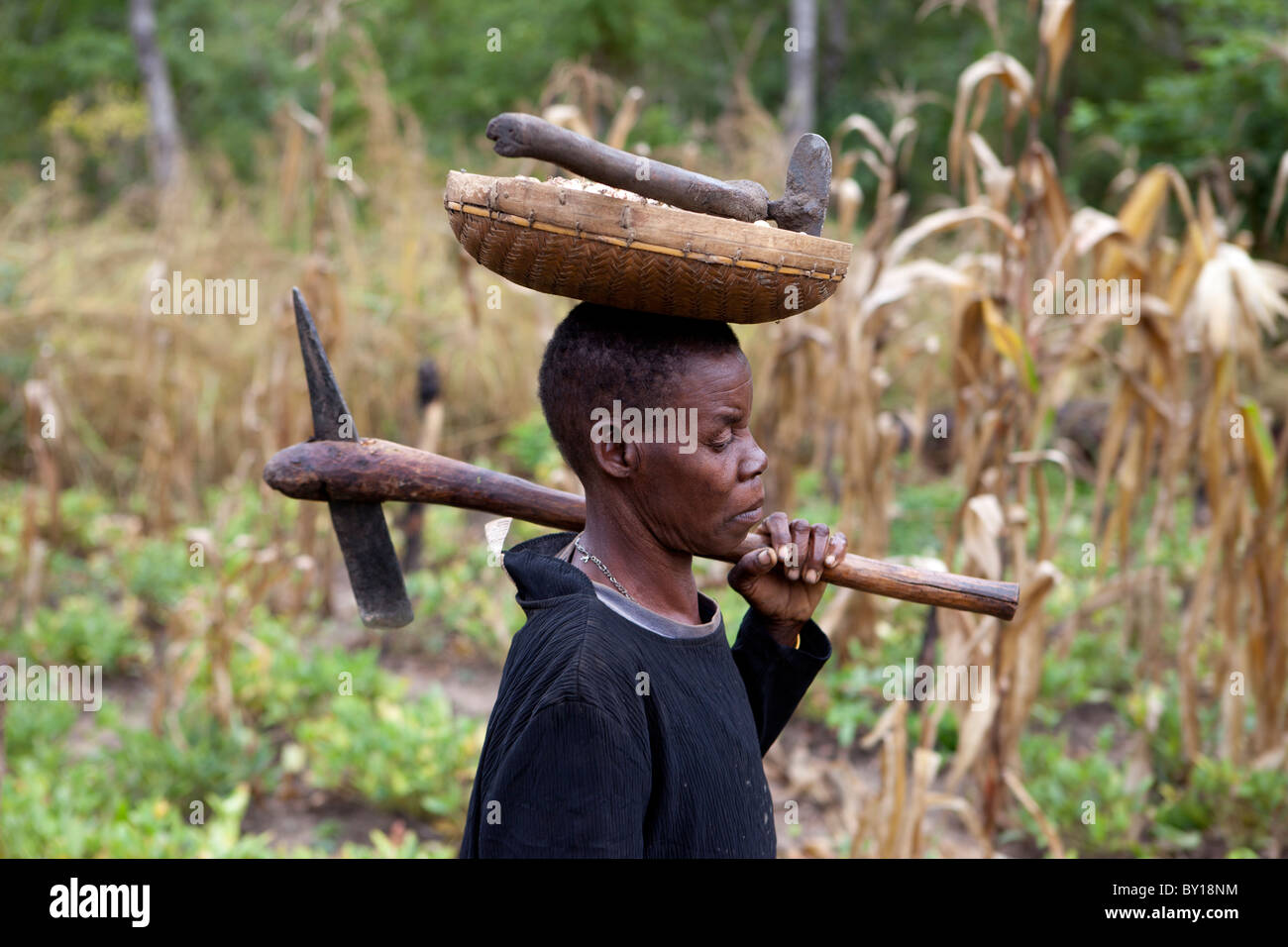 MECATI Wald, Mosambik, Mai 2010: Expandierende Landwirtschaft - diese Familie die Bäume und das Grundstück, auf diesem Hügel gelöscht. Stockfoto