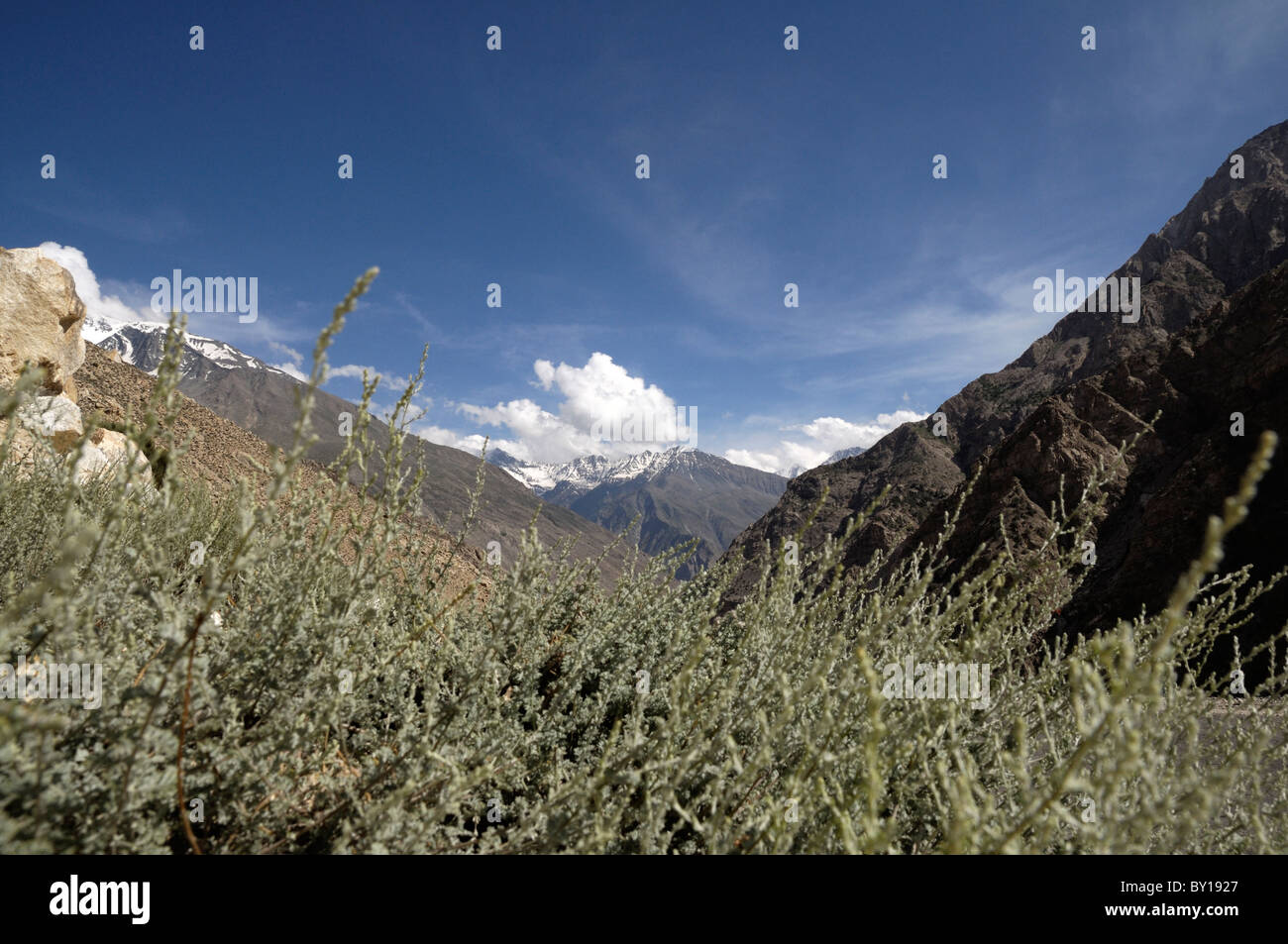 Landschaften in Himachal Pradesh, Indien. Stockfoto