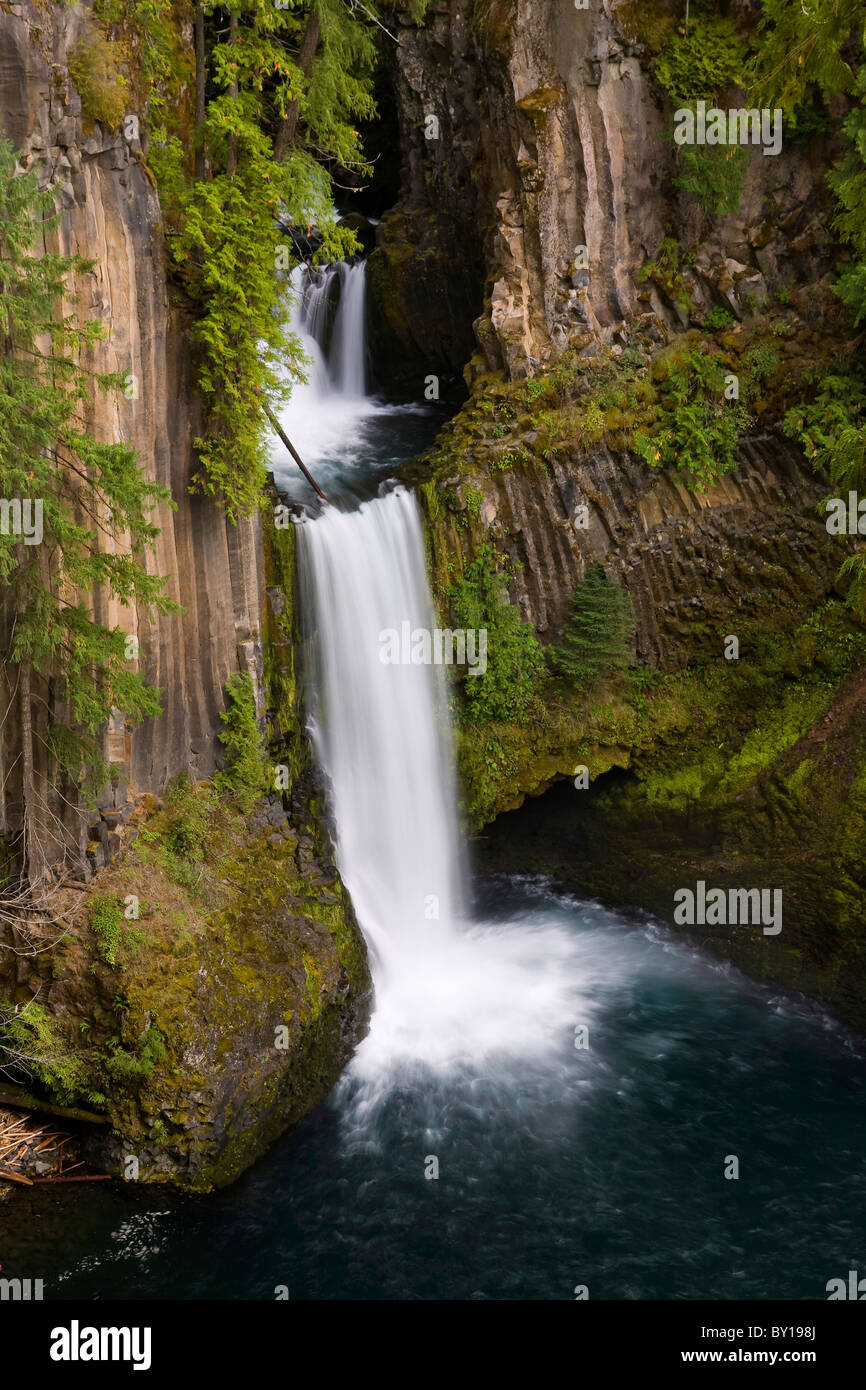 Tokatee verliebt sich in den südlichen Oregon Cascades, USA. Stockfoto