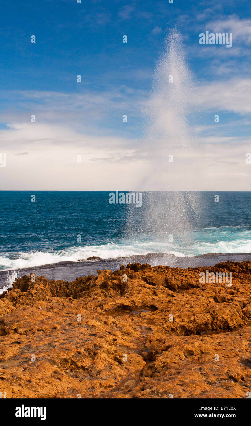 Blasloch in einem altertümlichen Korallenriff, Point Quobba, Carnarvon, Western Australia Stockfoto