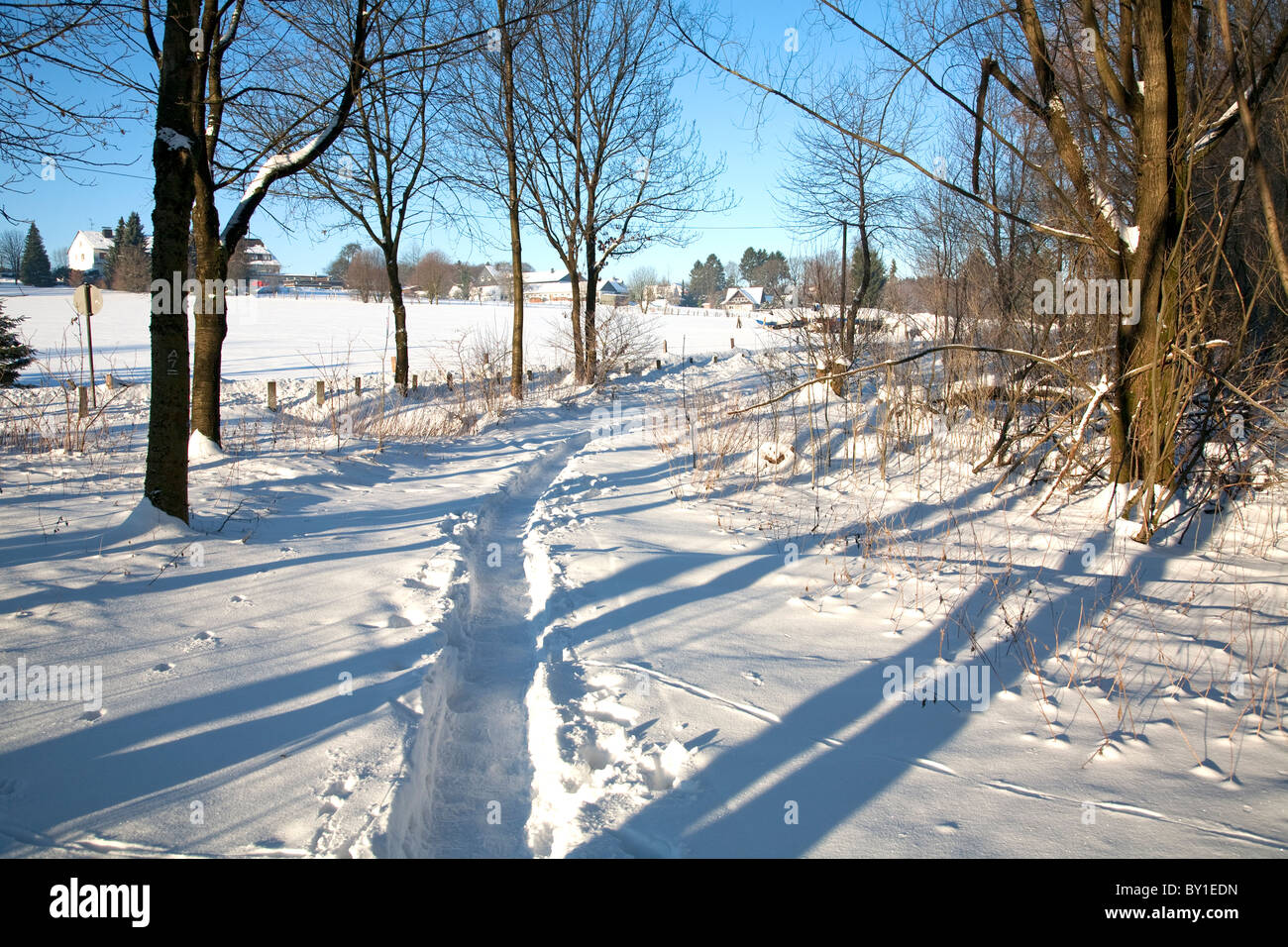 Pfad in mitten im winter Stockfoto