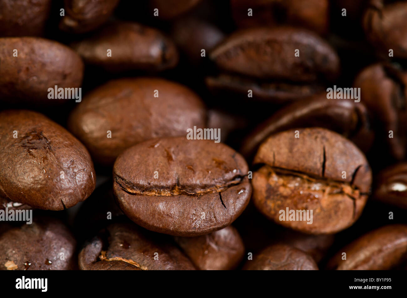 Kaffeebohnen-Textur Stockfoto