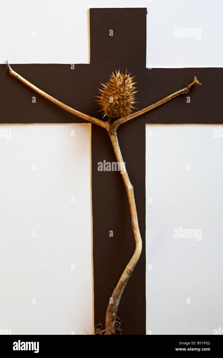 Saatkopf auf brauner Karte in Form eines Kreuzes, das das Kruzifix darstellt - Osterkonzept Kreuzigung Stockfoto