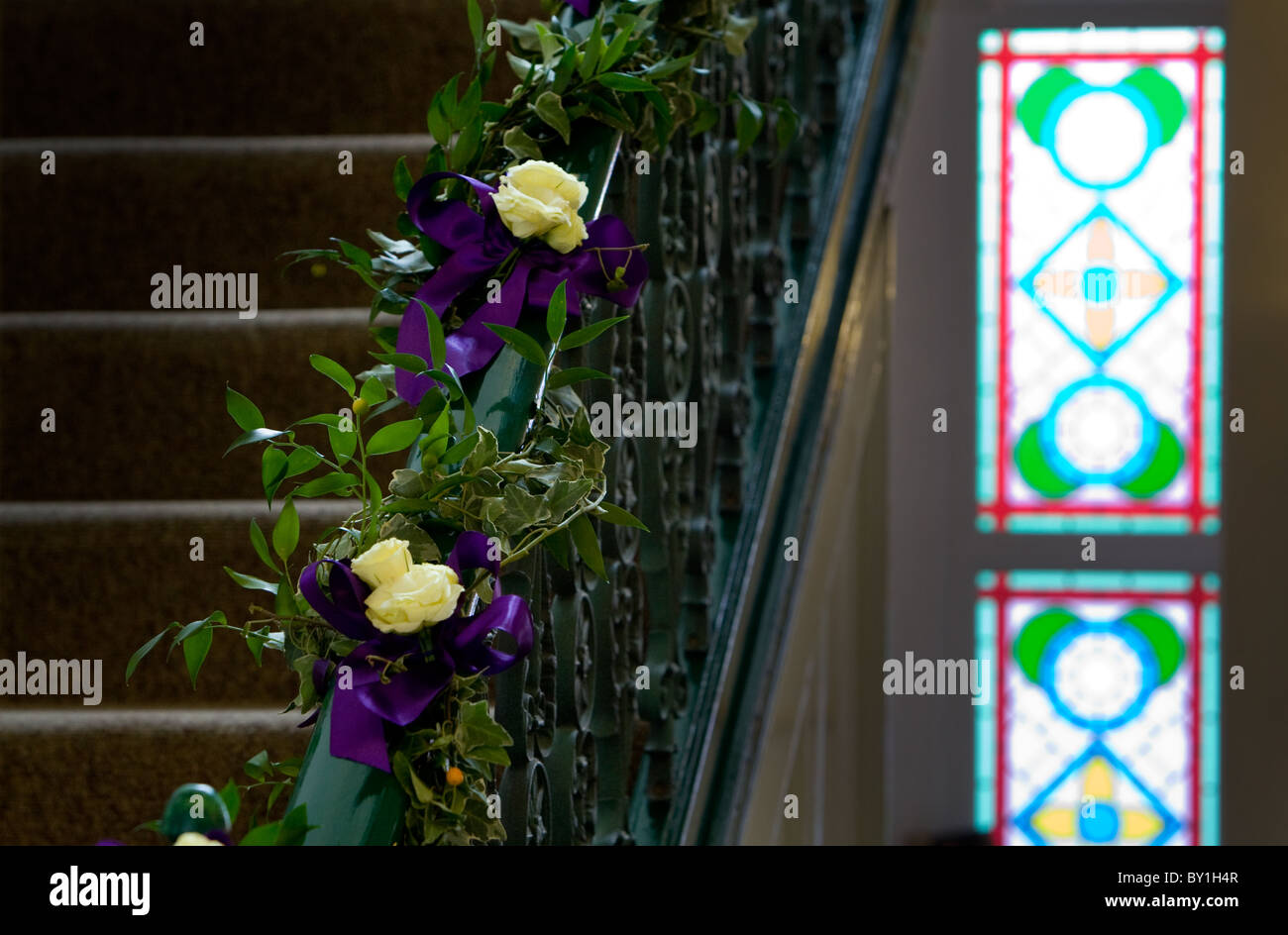 cremefarbene Rosen mit lila Band auf Treppengeländer Stockfoto