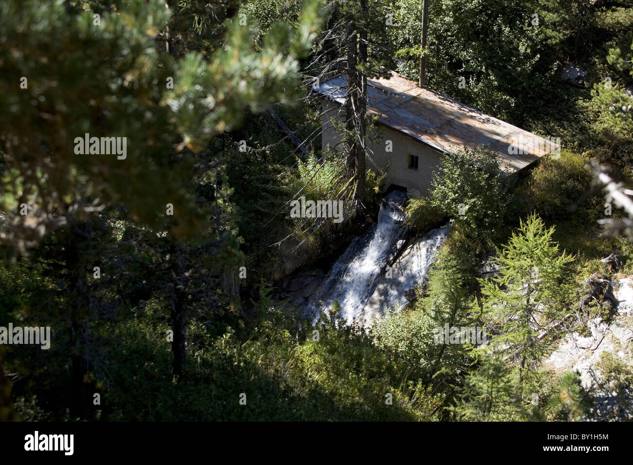 Stillgelegten Wassermühle im Wald des Stilfserjoch Nationalparks, Italien Stockfoto