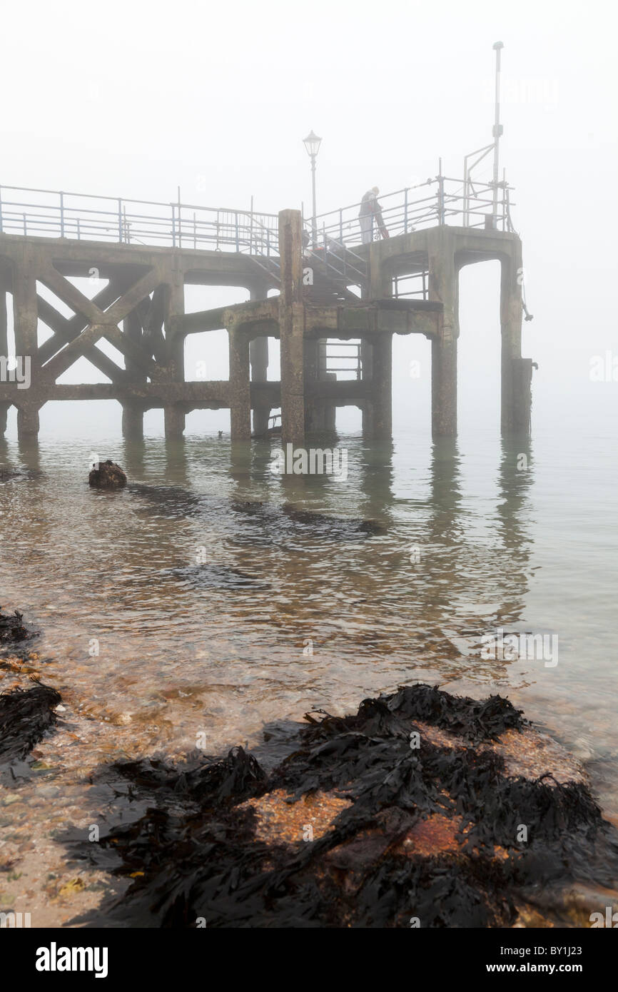 kurzen Pier Strand mit Fischen an einem nebeligen Tag Stockfoto