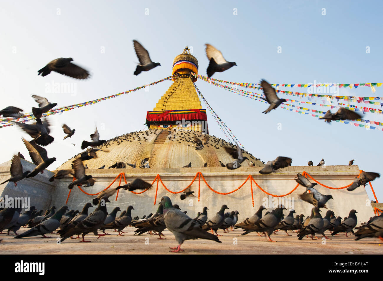 Asien, Nepal, Kathmandu, Kathmandu-Tal, Boudhanath, Boudha Stupa, (Chorten Chempo), Tauben Stockfoto