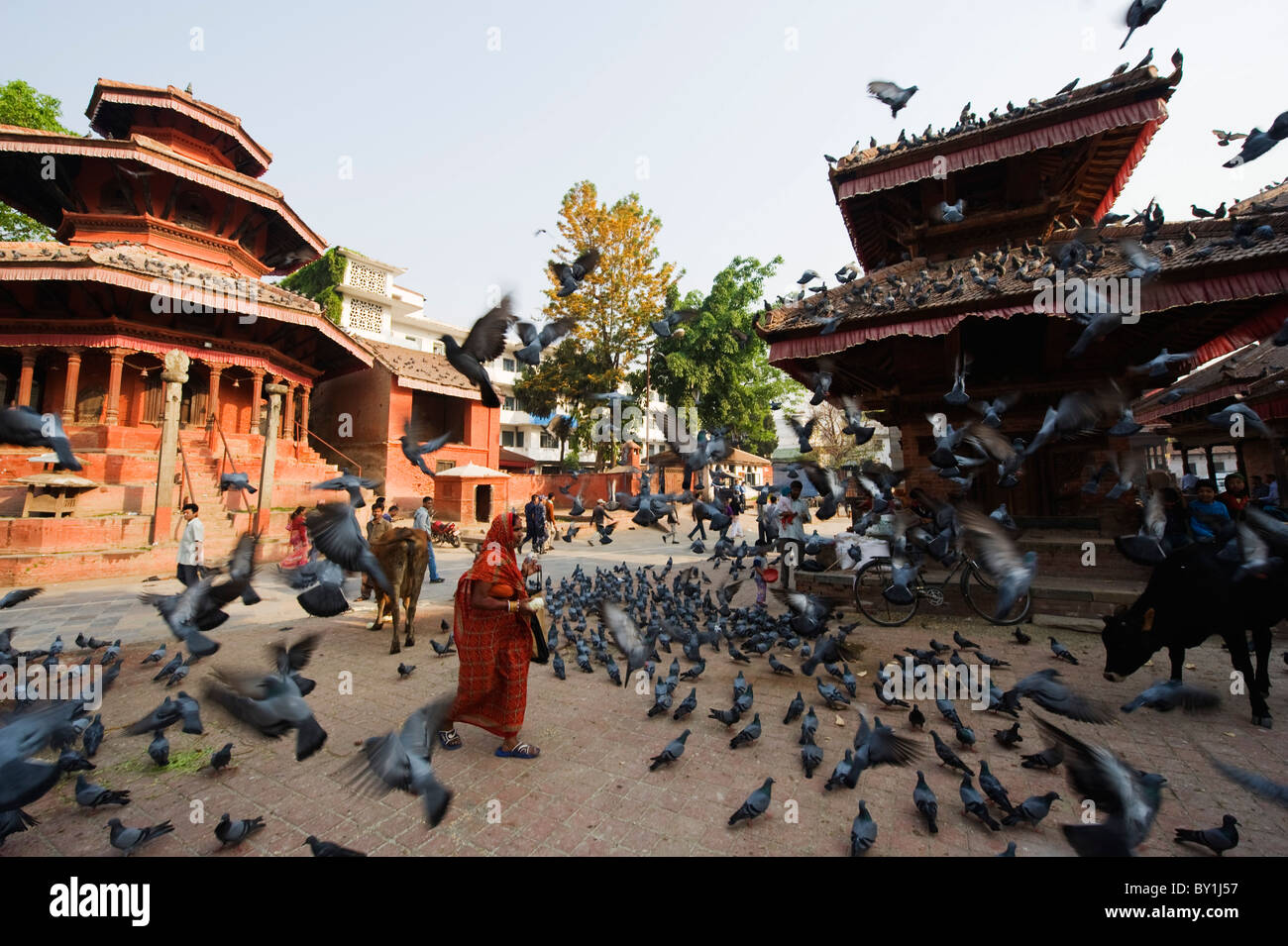 Asien, Kathmandu, Nepal, Kathmandu-Tal, Chaysin Dega-Tempel (1649), Durbar Square, Tauben Stockfoto