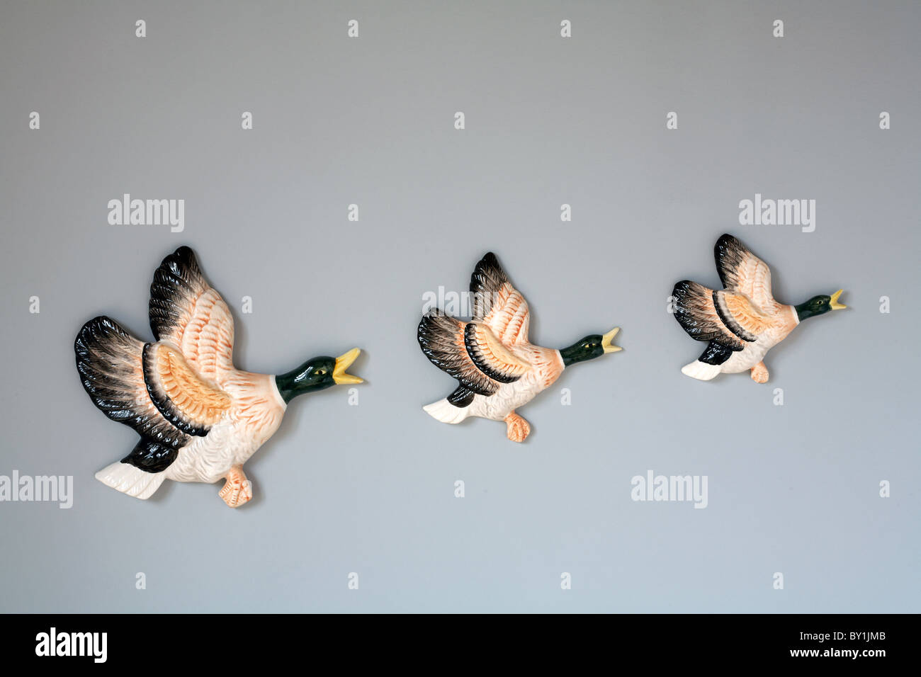 Fliegende Ente Ornamente auf Wand Stockfoto