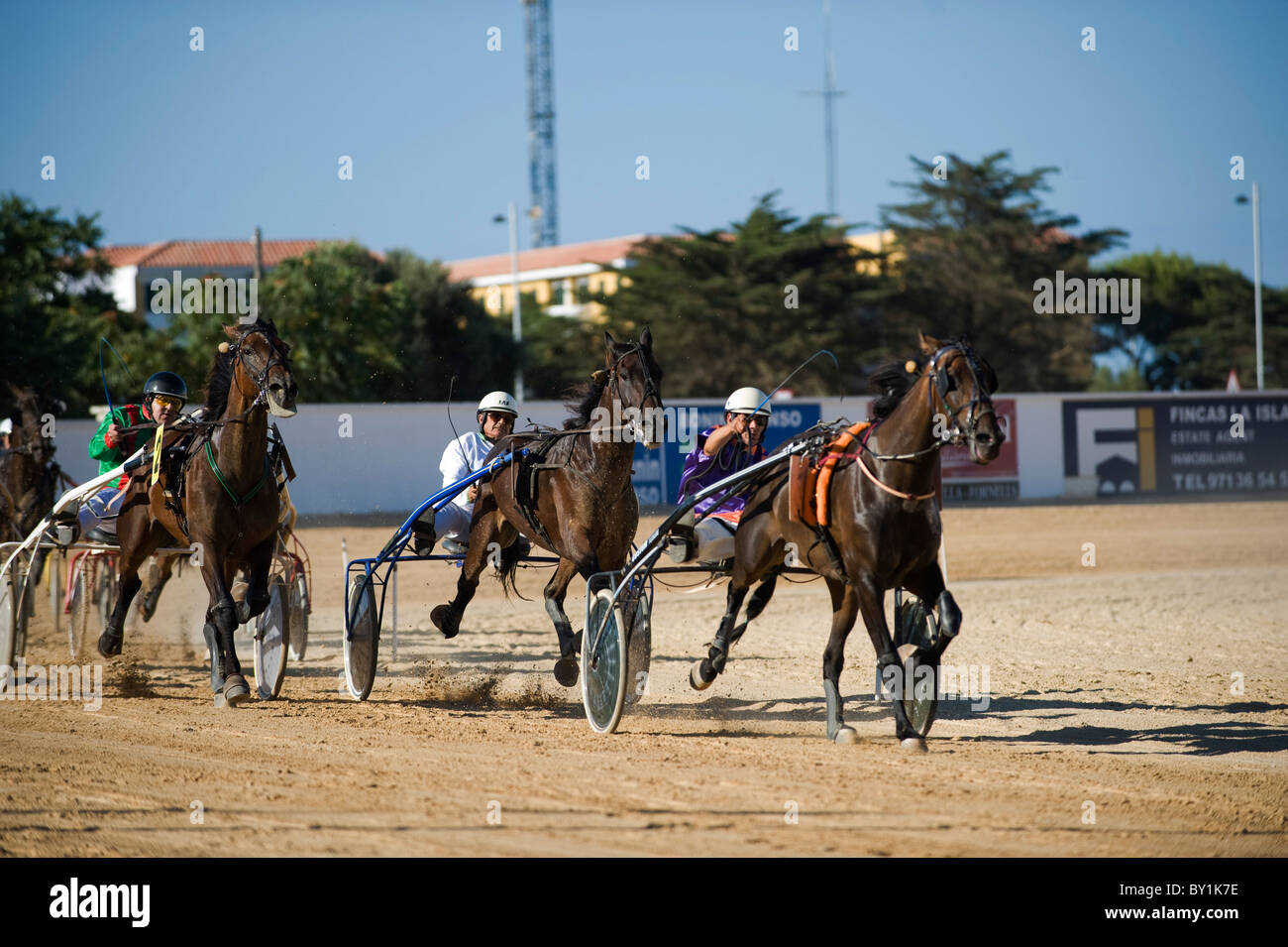 Spanien, Menorca, Mahon.  Trabrennen in San Luis Straße Hippodrom sind eine populäre Unterhaltung für Einheimische und Besucher. Stockfoto