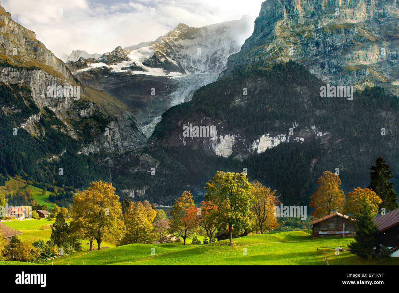 Schweizer Häuser auf Almen - Grindelwald-Schweiz Stockfoto