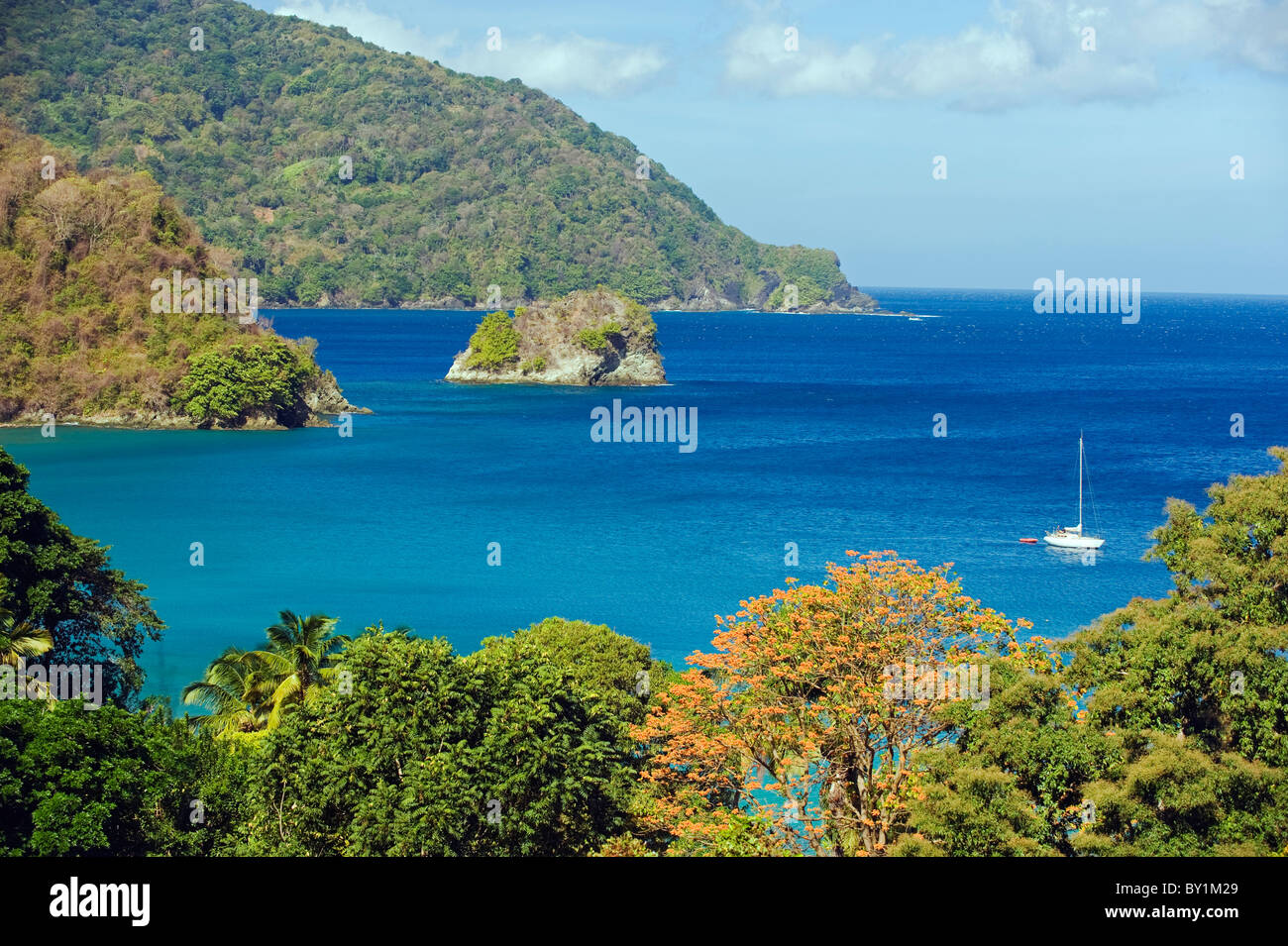 Die Insel der Karibik, Trinidad und Tobago, Tobago Stockfoto
