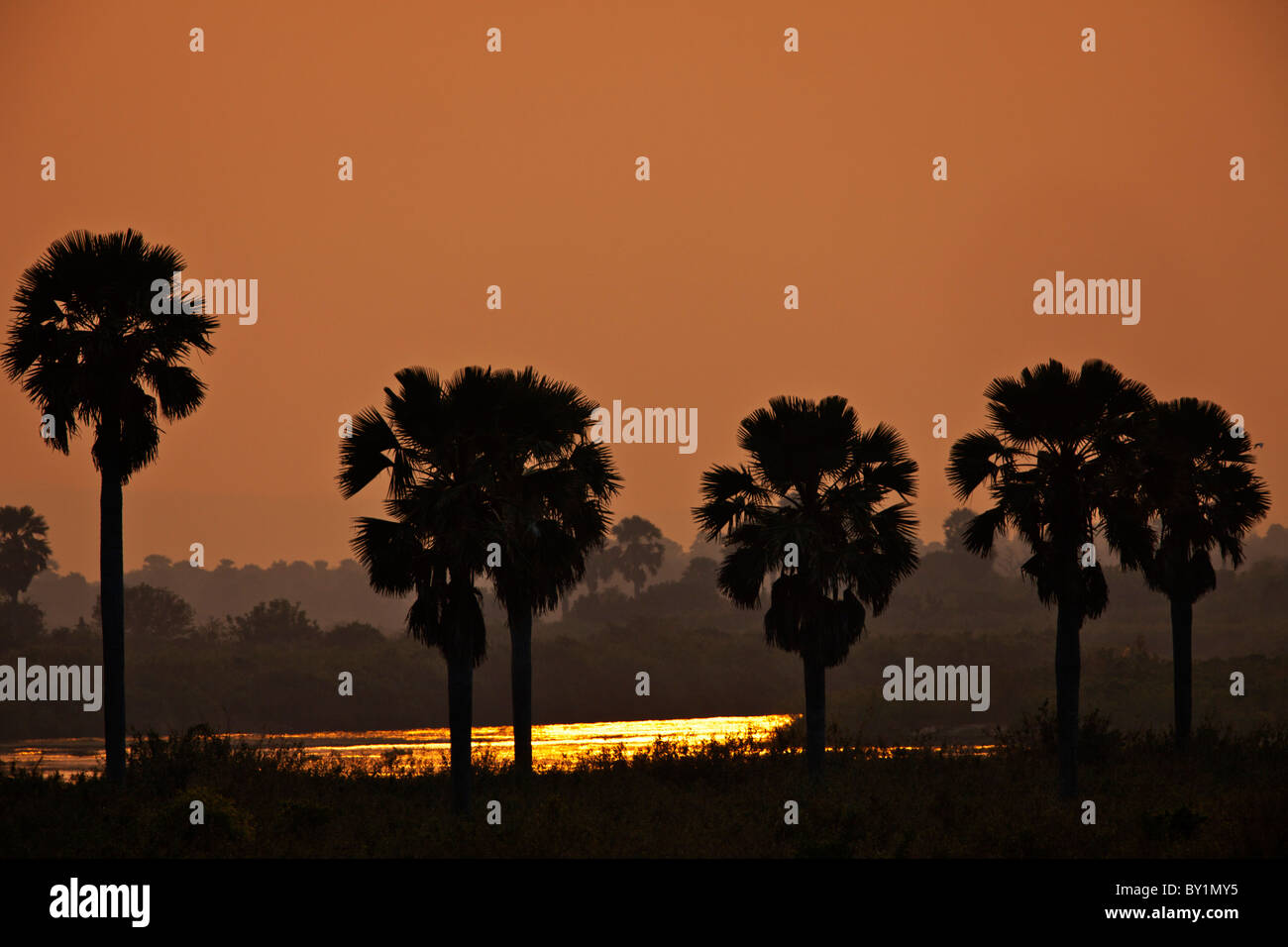 Sonnenuntergang über den Rufiji River in die riesige Selous Game Reserve südlichen Tansania. Stockfoto