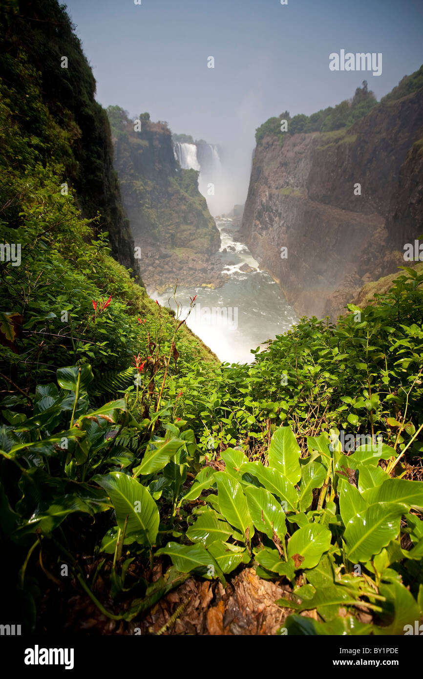 Simbabwe, Viktoriafälle. Blick auf die Wasserfälle von des Teufels Cateract. Stockfoto