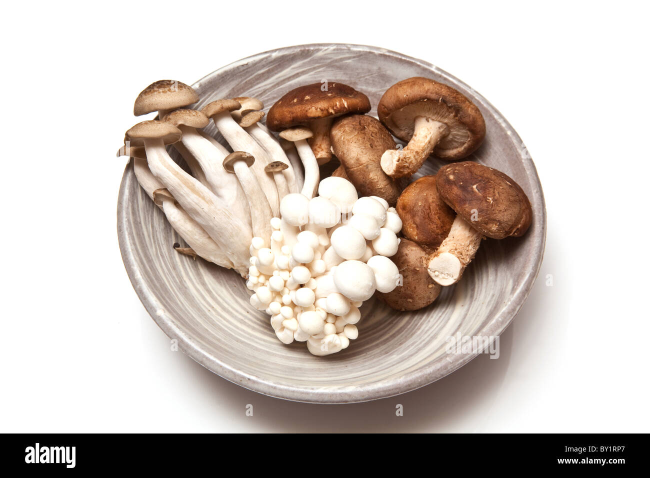 Chinesische Pilze, Enoki, Hon Shimeji und Shitake isoliert auf einem weißen Studio-Hintergrund. Stockfoto