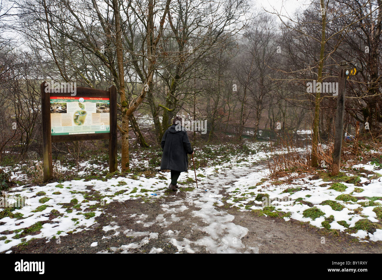 Winternachmittag wales eine Frau zu Fuß das Wye River Valley Walk, Powys uk Stockfoto