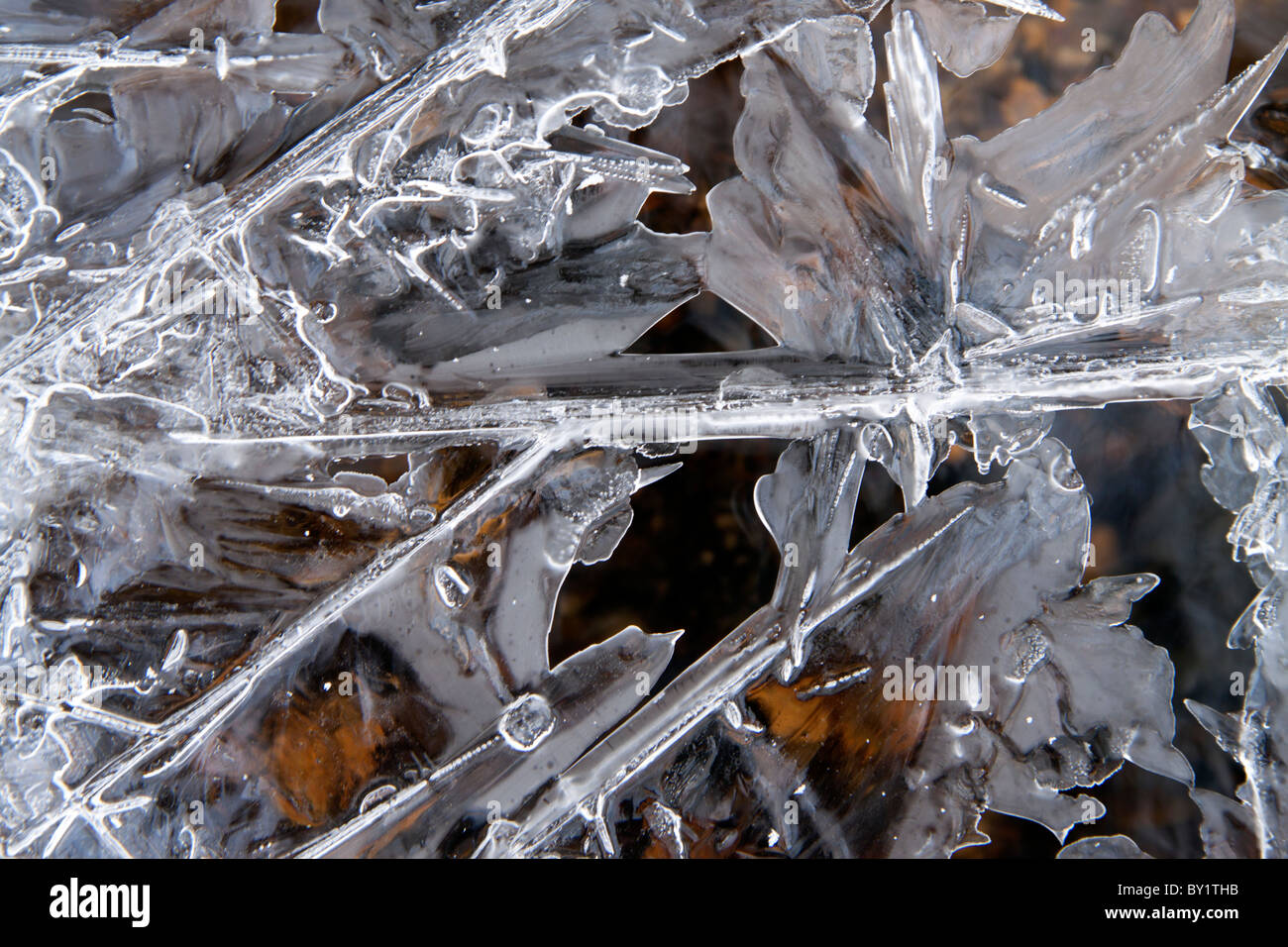 Komplizierte Muster in das Eis auf einem gefrorenen Bach in Hampshire, England, UK. Stockfoto