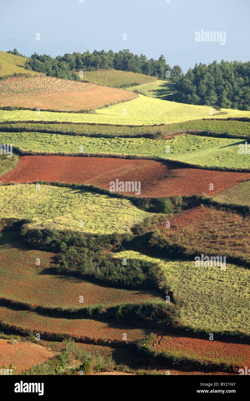 Land der roten Erde, Dongchuan, Provinz Yunnan, China Stockfoto