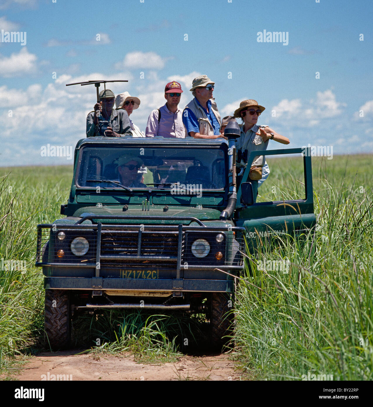 Mitarbeitern des Parks im Garamba-Nationalpark mit einer Tracking-Gerät, führen die Besucher auf das nördliche Breitmaulnashorn. Dieser nördliche Stockfoto
