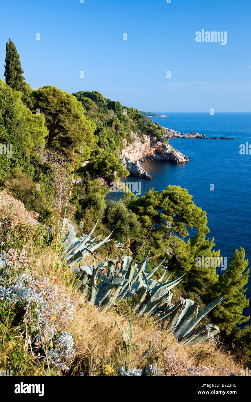 Adria-Küste im Süden Kroatiens, in der Nähe von Dubrovnik Stockfoto