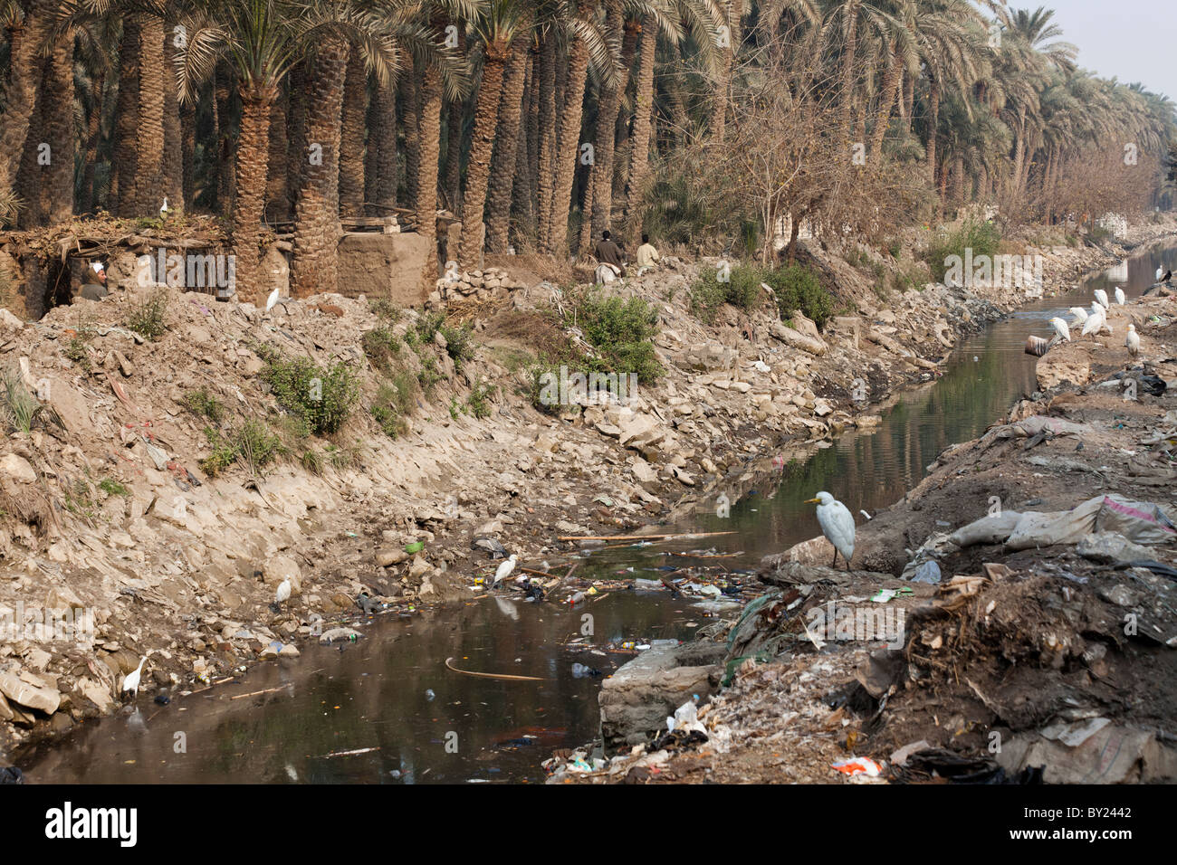 verschmutzten Kanal im Dorf in der Nähe von Bani Soueif, Ägypten Stockfoto