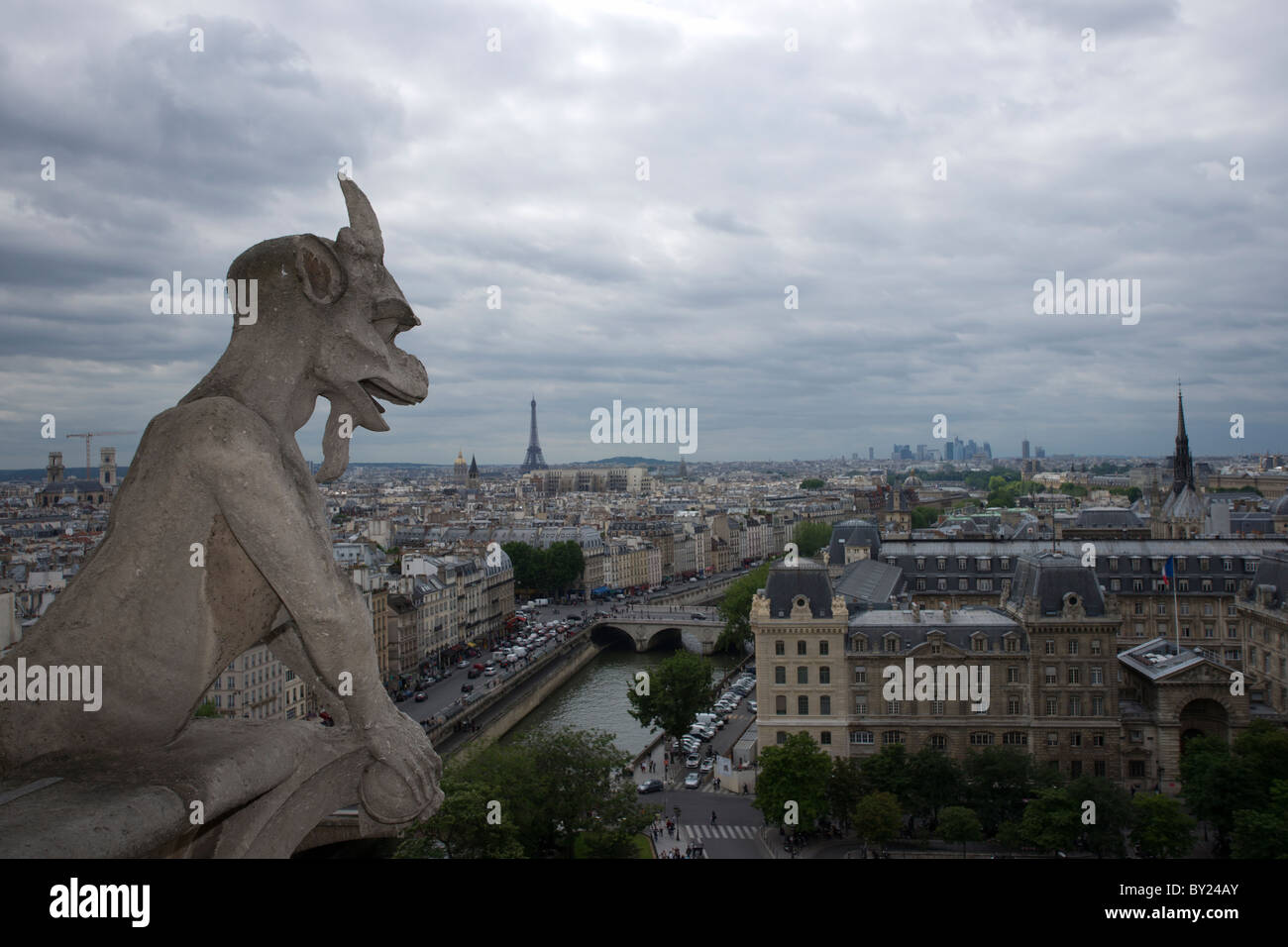 Wasserspeier an der Notre Dame mit Blick auf Paris Stockfoto