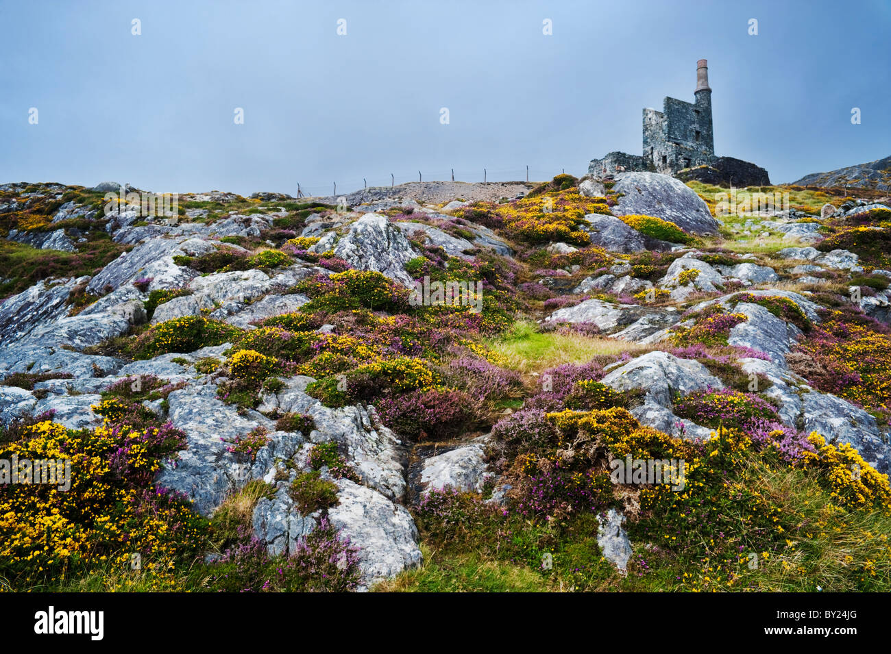 Mountain Mine, ein verlassenes kornisches Maschinenhaus aus dem 19. Jahrhundert, das früher für den Kupferbergbau in Allihies, Beara Peninsula, County Cork, Irland, genutzt wurde Stockfoto