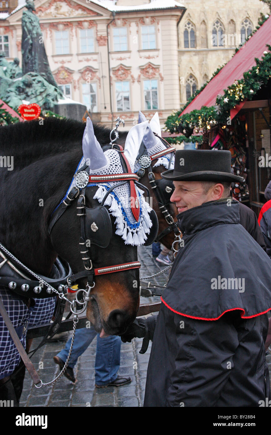 Busfahrer und sein Pferd, Weihnachtszeit am Altstädter Ring, Prag, warten auf Touristen auf eine Sightseeing-Tour zu nehmen. Stockfoto