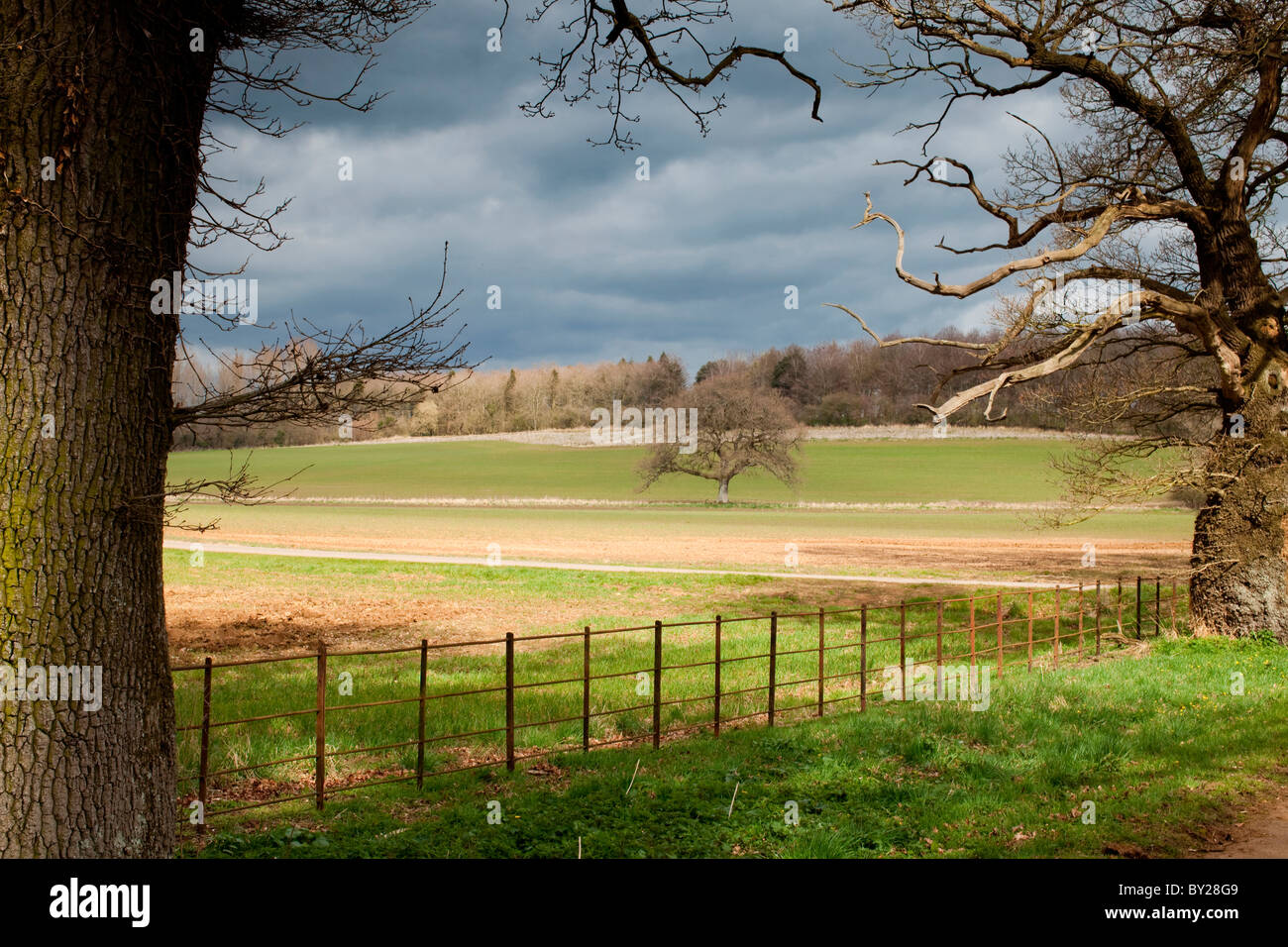 Wiltshire Landschaft, in der Nähe von Bowood, Wiltshire Stockfoto