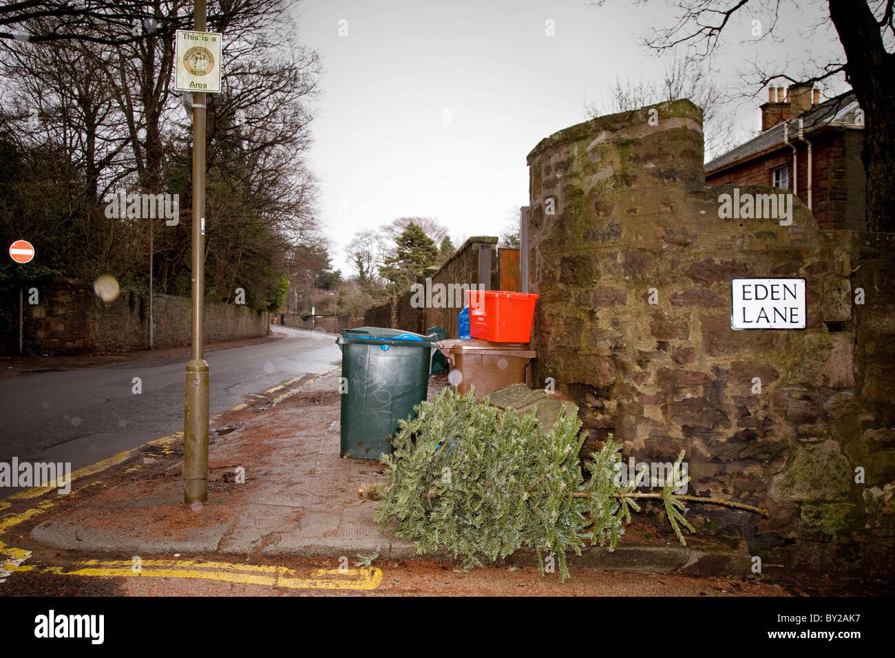Ende der Weihnachtszeit. Gedumpten Weihnachtsbäume warten auf die Müllabfuhr. Stockfoto