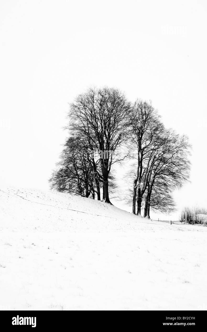 Winterschnee in der Nähe von Avebury, Wiltshire Stockfoto