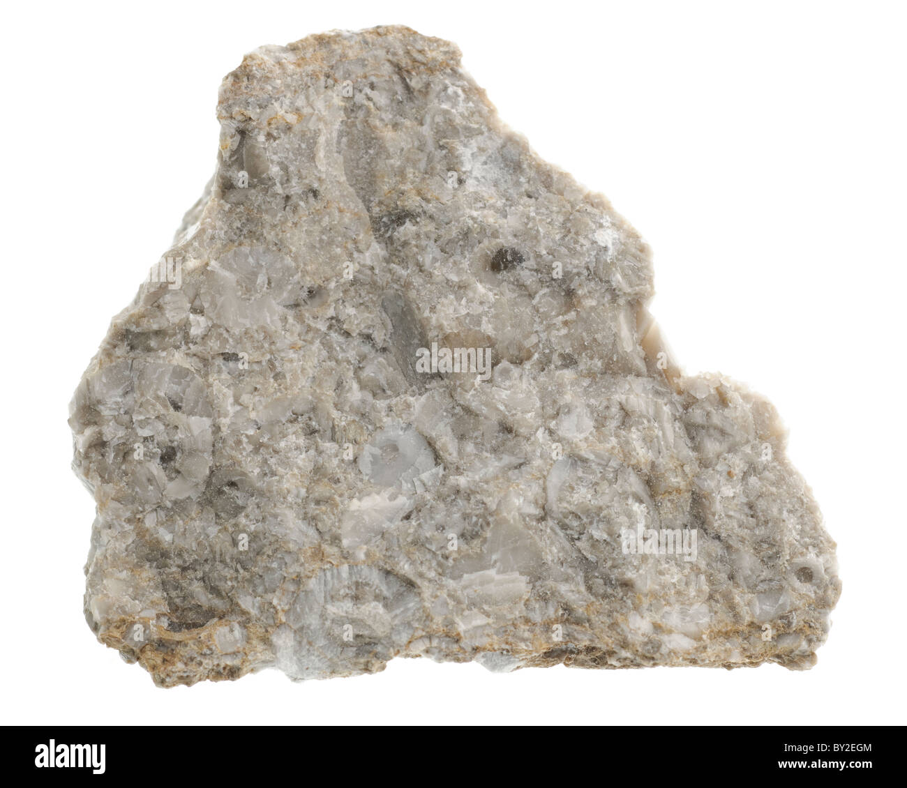 Bioklastischer Kalkstein Sedimentgestein Probe Stockfotografie Alamy