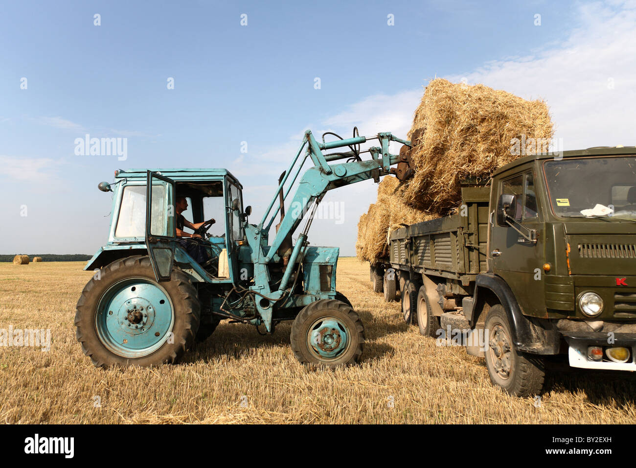 Stroh-Ernte in einer Kolchose, Dobraucy, Weißrussland Stockfoto