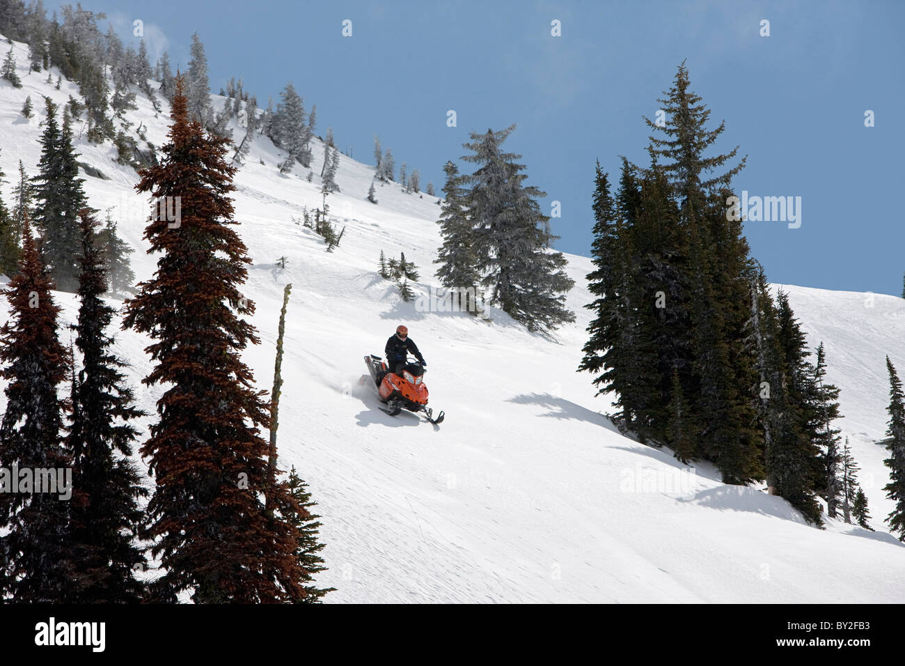 Ein Mann fährt Owlshead Berg hinunter auf einem Schneemobil. Stockfoto