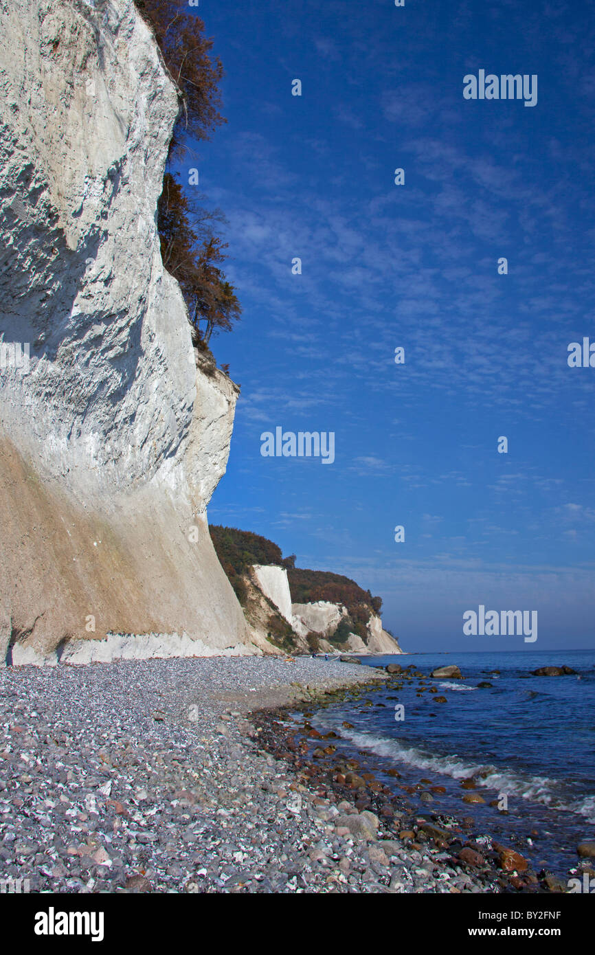 Kreidefelsen und Strand im Nationalpark Jasmund auf Rügen / Rügen Insel an der Ostsee, Deutschland Stockfoto