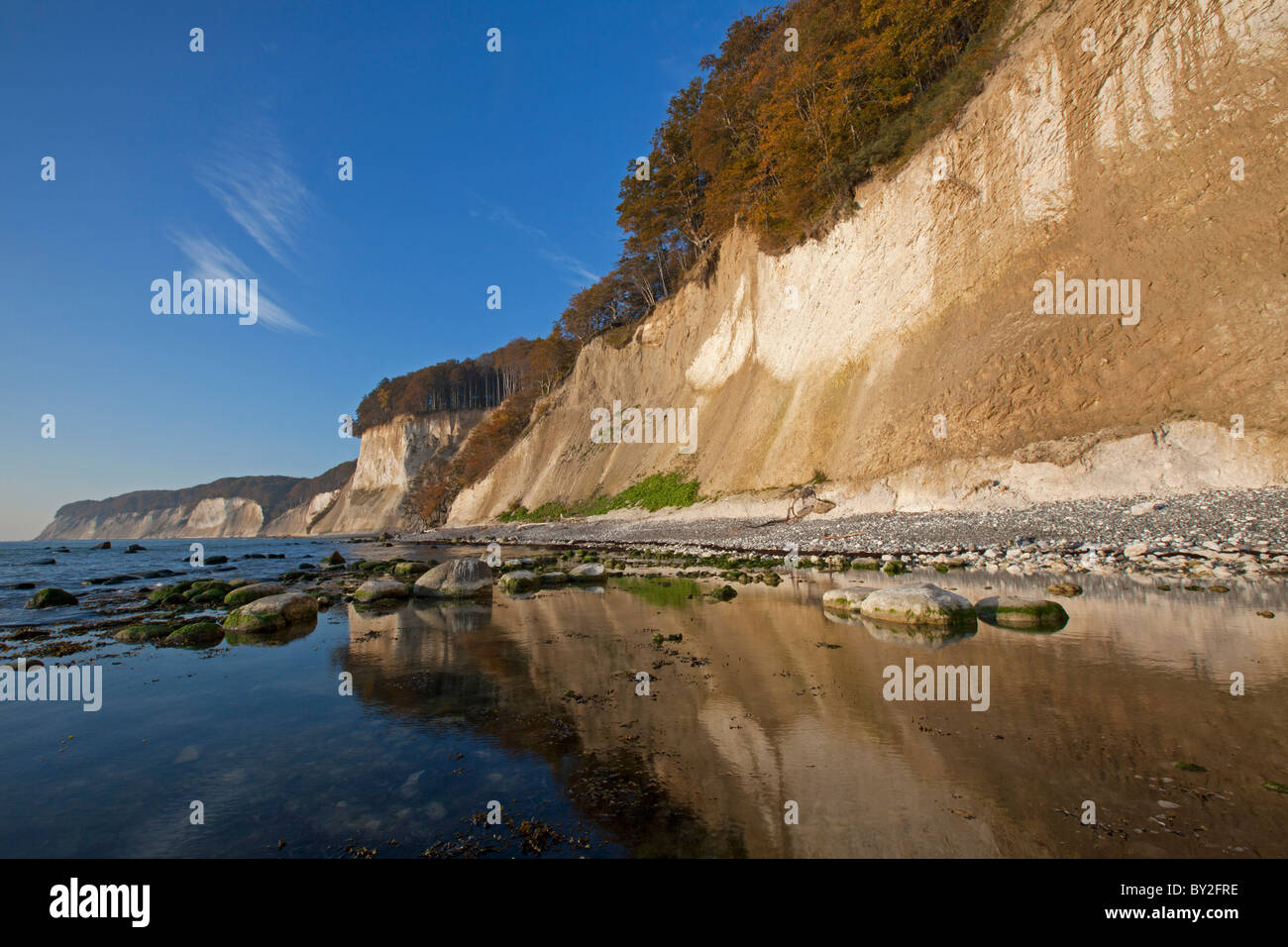 Kreidefelsen und Strand im Nationalpark Jasmund auf Rügen / Rügen Insel an der Ostsee, Deutschland Stockfoto