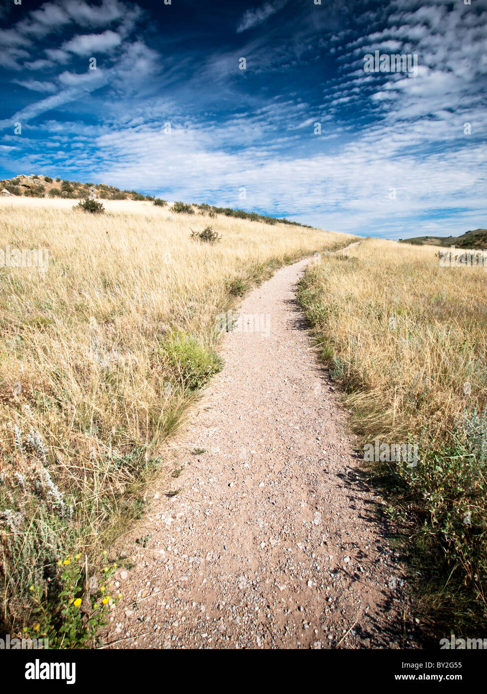 Bei Devil es Backbone, Loveland Colorado Trail Stockfoto