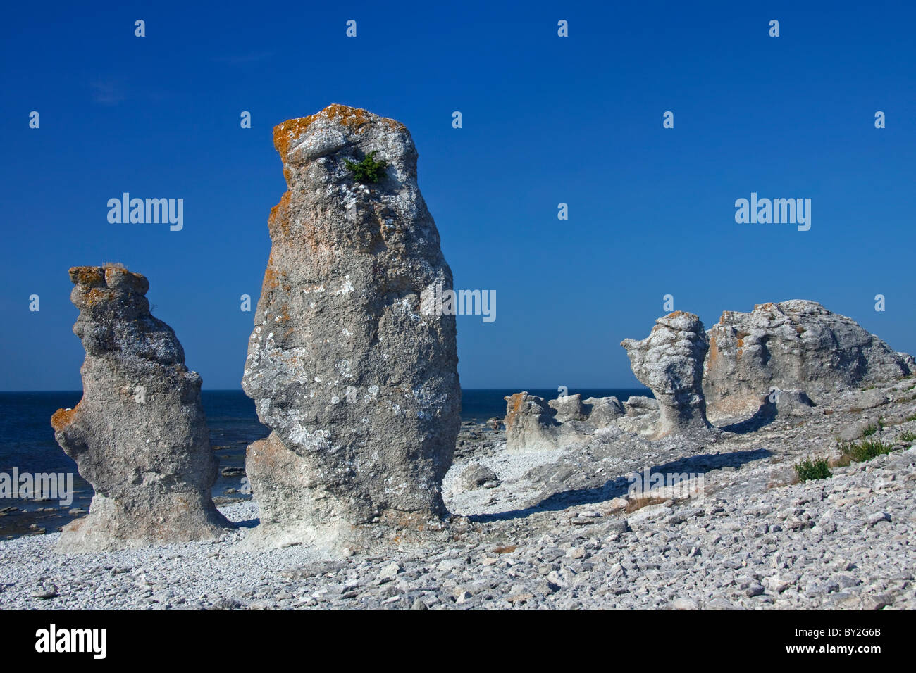 Kalkstein-Meer-Stacks / Raukar am Langhammar, Gotland, Schweden Stockfoto