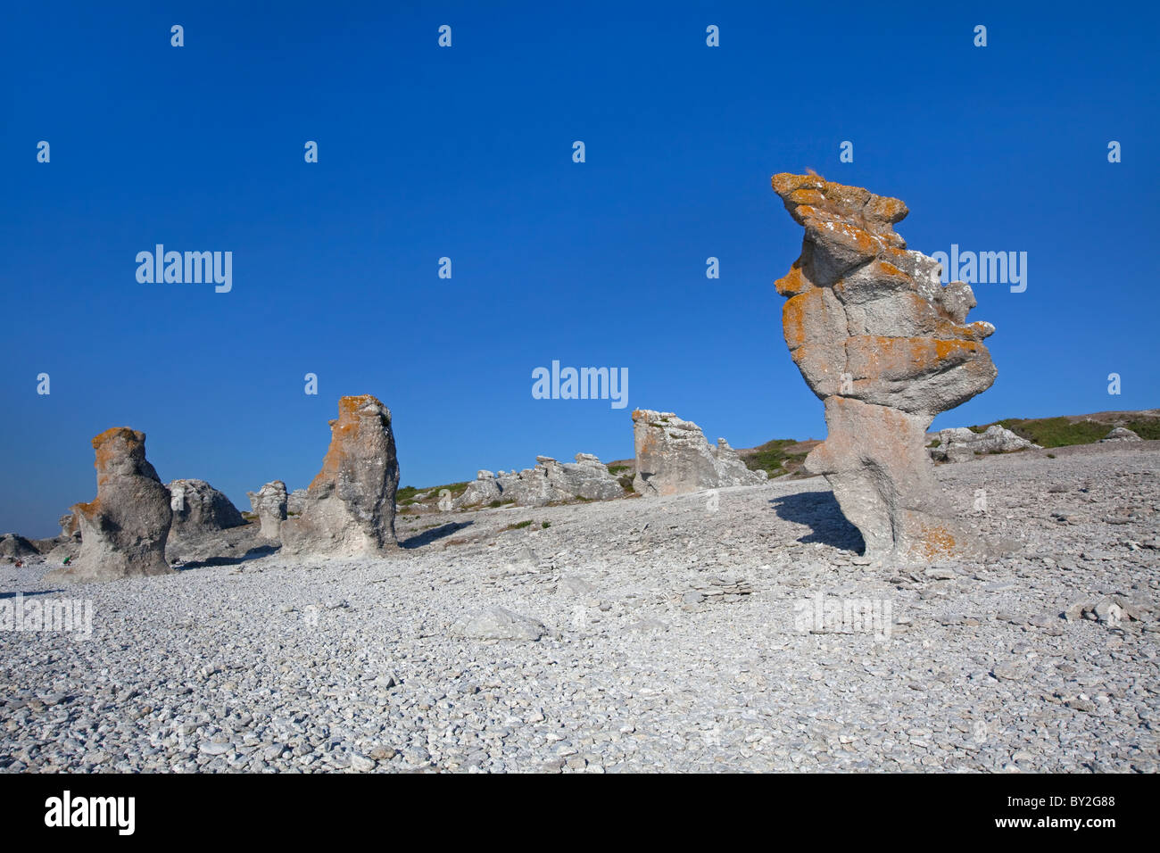 Kalkstein-Meer-Stacks / Raukar am Langhammar, Gotland, Schweden Stockfoto