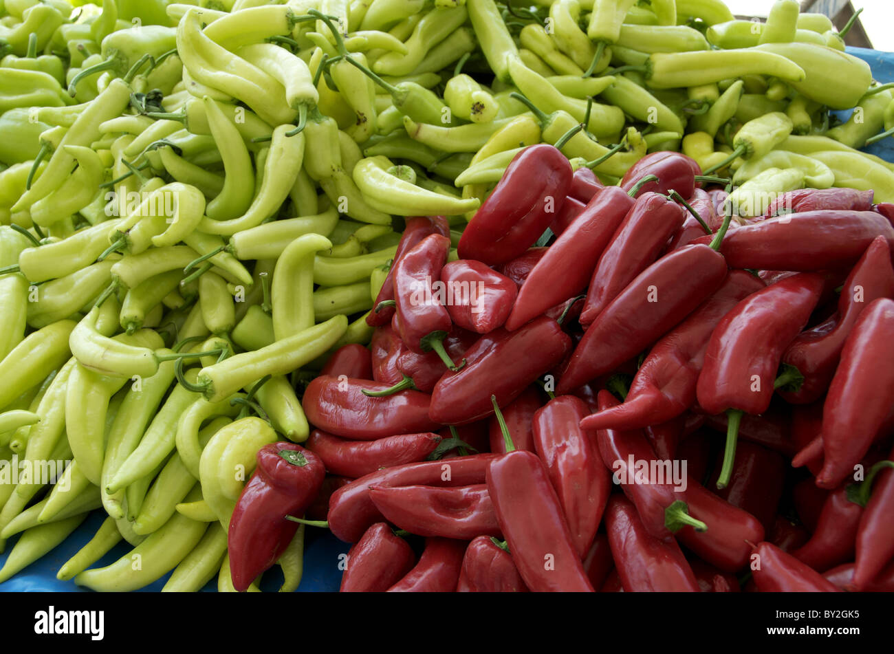 ROTE, grüne Chili PEPPERS DIDIUM BAAZAR Markt DIDIUM Türkei DIDIUM BAAZAR Markt Türkei 22. Mai 2010 Stockfoto