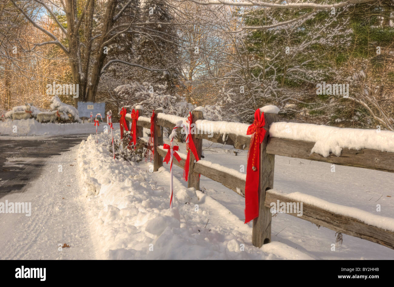 Winter-Szene in Michigan USA Stockfoto