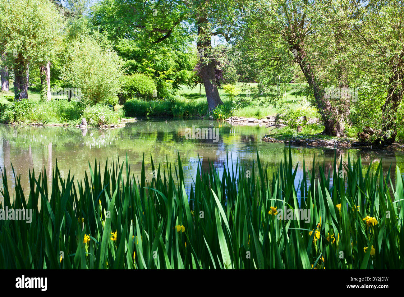 Ein großer Zierteich oder kleinen See in einem englischen Landhaus-Garten im Sommer Stockfoto